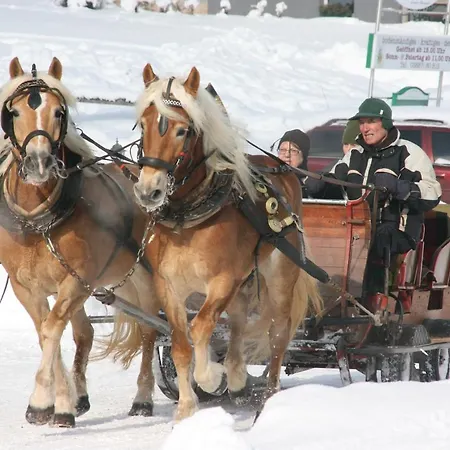Haus Klager Шале Рамзау-ам-Дахштайн